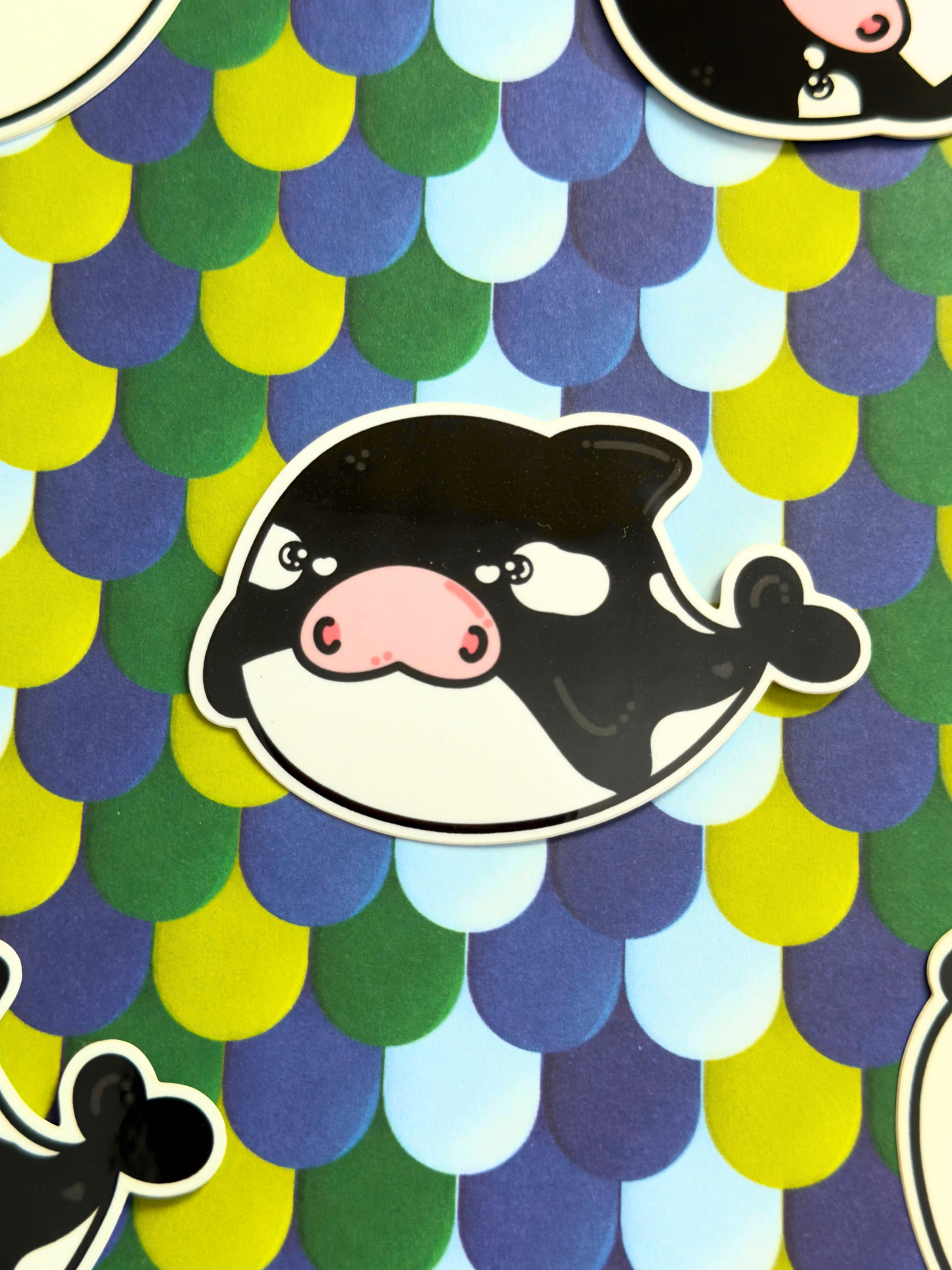 Killa Whale Vinyl Sticker