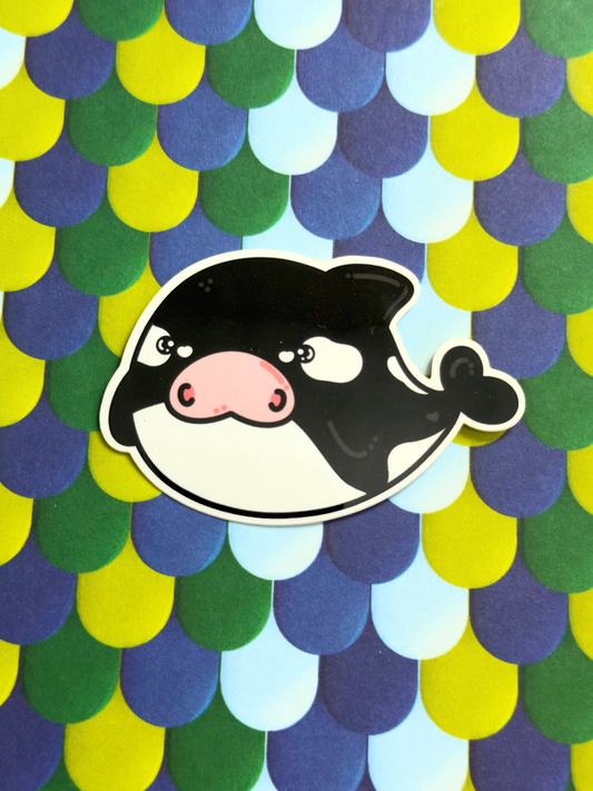 Killa Whale Vinyl Sticker