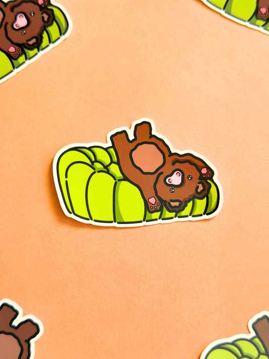 Roche Bear Vinyl Sticker