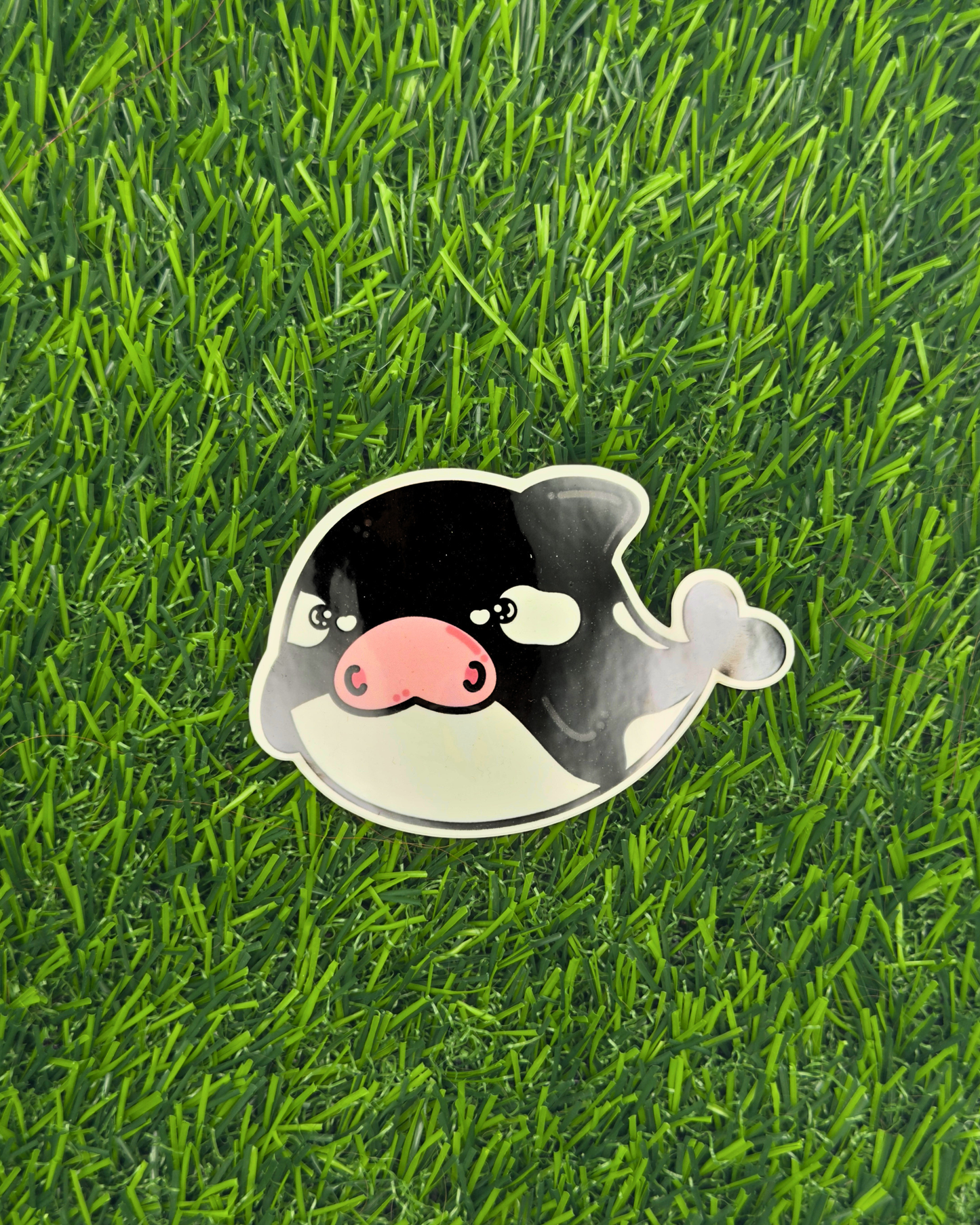 Killa Whale Vinyl Sticker