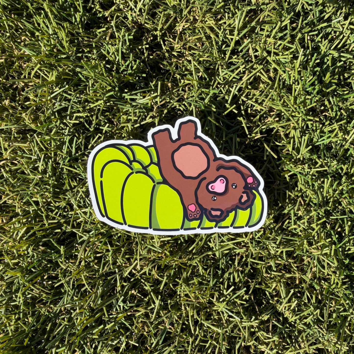 Roche Bear Vinyl Sticker
